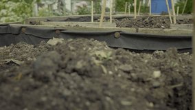 Vegetable elevated wooden beds. Digging hole and planting seeds. Gardening equipment for home gardeners. Trowel, rake and seed setting. Sunny day, agriculture equipment. V-log slow motion footage