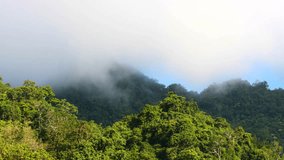 Clouds and fog moving over the tree forest on mountains