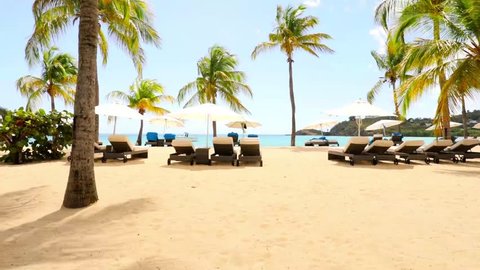 A slowly lifting up perspective video of Deckchairs on a beach in Antigua, The Caribbean with sea view, bright sunshine, golden sand and palm/coconut trees