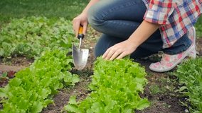 Slow motion video of young female farmer removing weeds from soil at garden