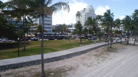 South Miami Beach Palm Tree Ocean Drive Travel Destination