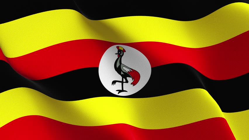 Uganda Flag Waving Seamless Loop Stock Footage Video (100% Royalty-free ...