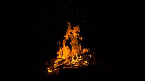 Bonfire in the night forest - slowmotion shot 180 fps