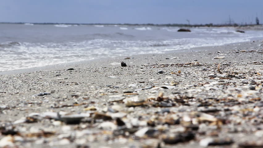 A wild empty beach on the Black Sea ...