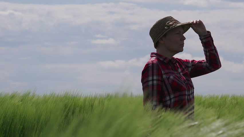 Concept of responsible farming, female farmer in cereal crops field, woman agronomist looking over the wheat field to the horizon on a windy day and planning future steps in agricultural production