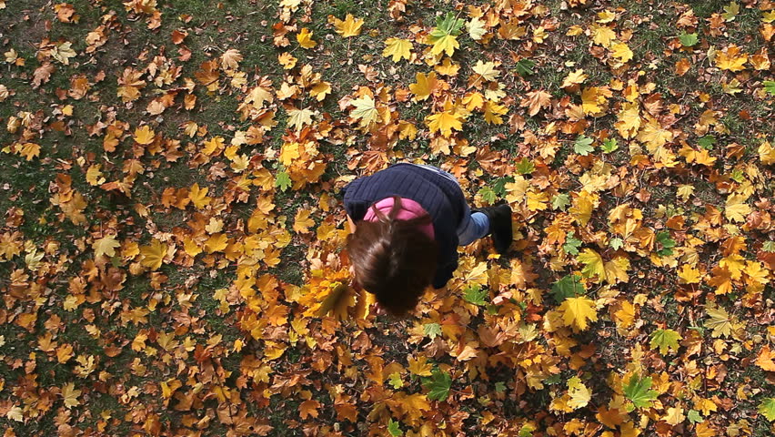 Pretty young woman collecting maple leaves at autumn