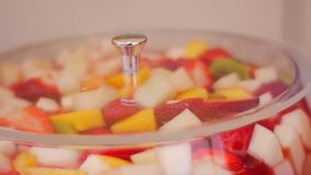 Beautiful Wine Glass With a Frozen Fruit. in a Glass There Are Small Slices of Apples, Kiwi and Strawberries. Fruit Floats in a Sweet Grape Syrup. Light is Reflected From a Glass Surface. Video is in