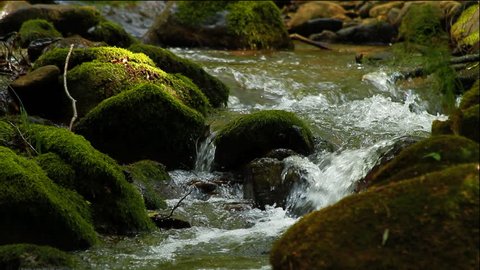 Clean fresh water of a forest stream running over mossy rocks 