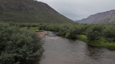 Boom shot of clear water river and arctic willow (Salix arctica; ) in arctic tundra, Greenland