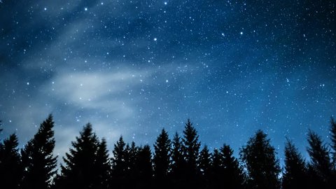 Timelapse of stars moving in night sky over pine trees.