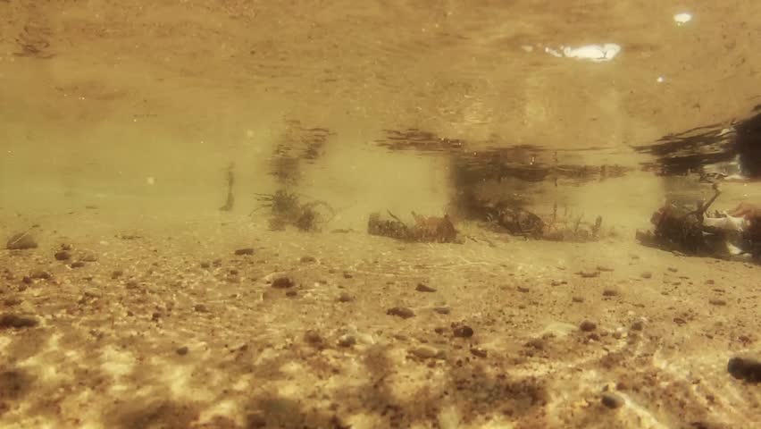 Underwater shot on ocean shoreline