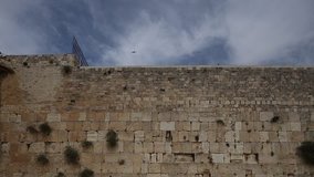 Birds flying near the Western wall in Jerusalem