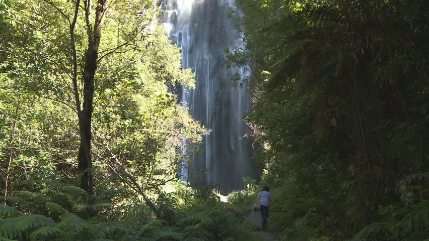 A person approaches a high waterfall in a bush setting.