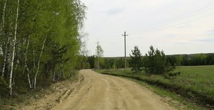 cute adult dog playing with stick on the country road, siberian husky outdoor