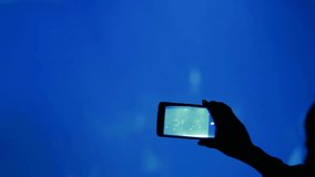 Close-up of the outline of a woman's hand holding a phone, a gadget, taking videos of the inhabitants of the oceanarium, watches the beauty of the underwater world in the aquarium.