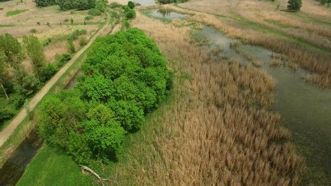 Aerial: backwards flight, camera tilt up, opening of beautiful landscape with water and dried bulrush in Gornje Podunavlje, Serbia.