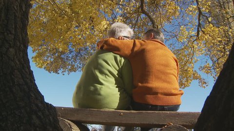 back view of senior couple sitting on park bench under trees in autumn