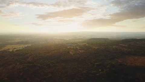 Arial Drone footage of African Tree Landscape