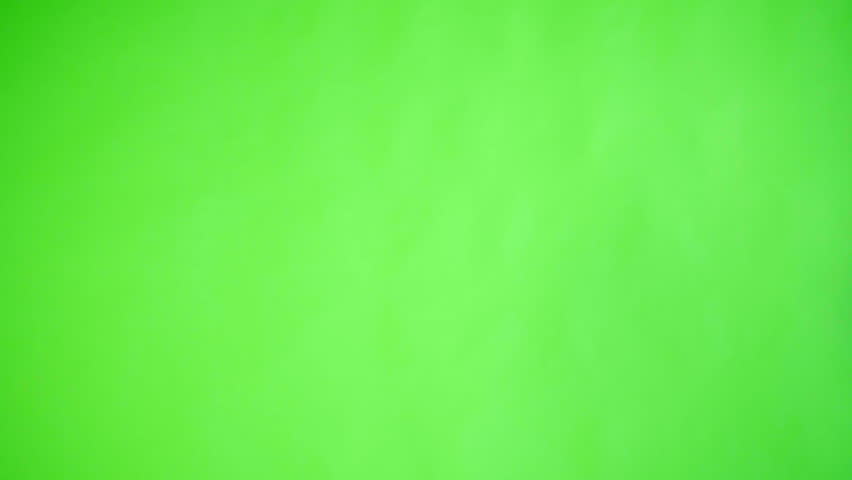 caucasian woman studio greenscreen isolated sexy skinny 20s 4k business