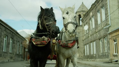 4K. Riding vintage horse carriage on a cobble road. Horse-drawn Carriages runnig. Shot on RED EPIC DRAGON Cinema Camera.