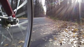 View to asphalt road with dry leaf and turning wheel from moving bicycle in autumn sunny park, mobile phone video.
