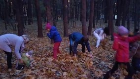 Adults and children throw bunches of dry leaf to each other in evening autumn forest, mobile phone video.