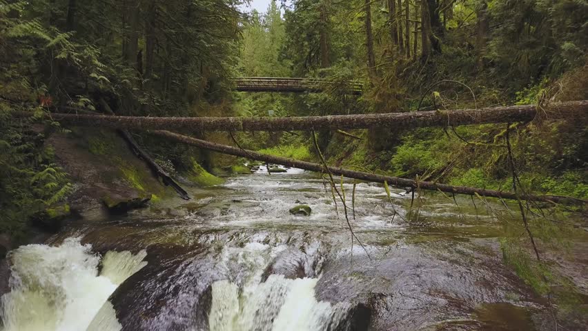 Aerial of Cliff Falls in Kanaka Creek, Maple Ridge, Greater Vancouver, BC, Canada.