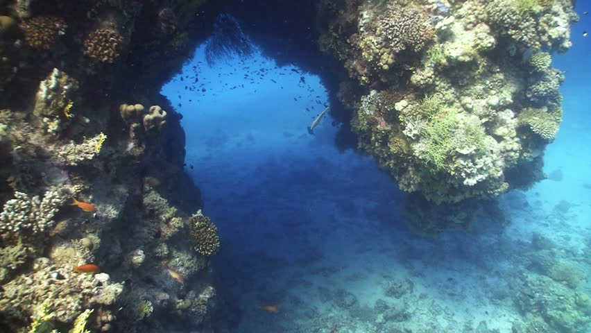 Divers swim through the underwater tunnel, Red Sea