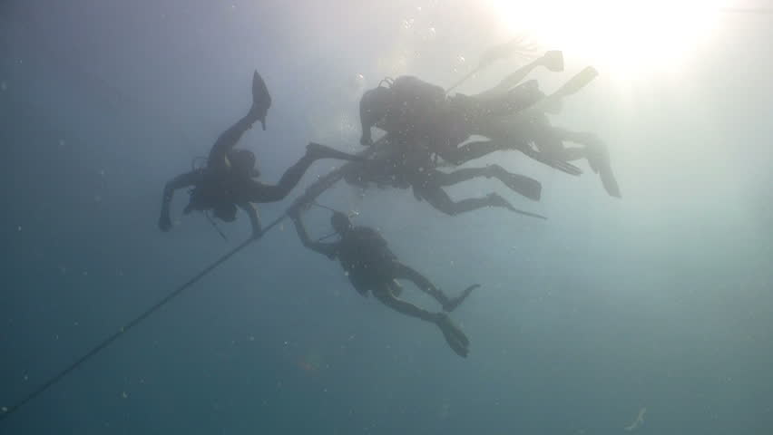 Group of Divers preparing to dive, Red sea