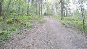 Hiking on forest path. Point of view fast motion film clip in nature setting.