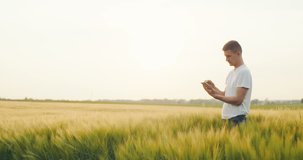 Rancher Using Digital Tablet In Agricultural Field