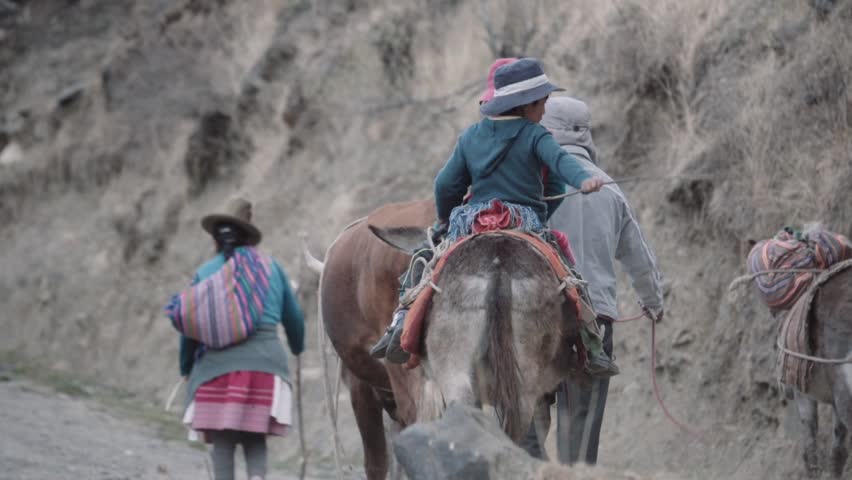 Family of muleteers riding mules on a countryside trail, returning home after a labor day, Peru