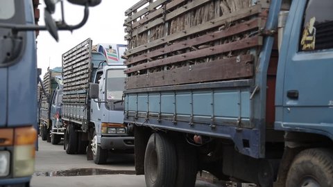 Cassava loaded on truck