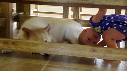 Baby and Dog Under Table