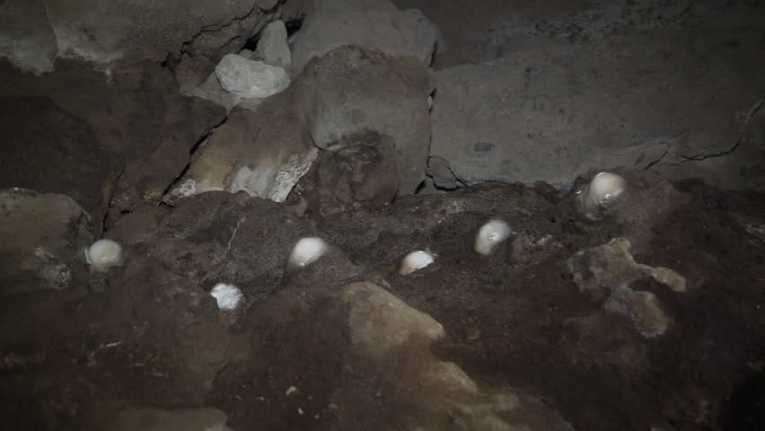 Caves, Qadisha Valley. Stalagmites rising from the floor of a cave. Caves in this region have been used for shelter since the Paleolithic period.
