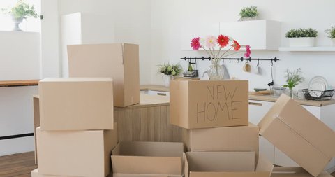 Unpacking Boxes In New Home Stock Footage Video 100 Royalty Free 27355966 Shutterstock