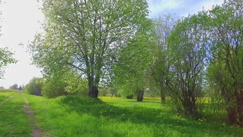 Natur Umwelt Urlaub Sommer Fraƒ A Aƒ A Aƒ A Aƒ A A Hling Stock Footage Video 100 Royalty Free Shutterstock