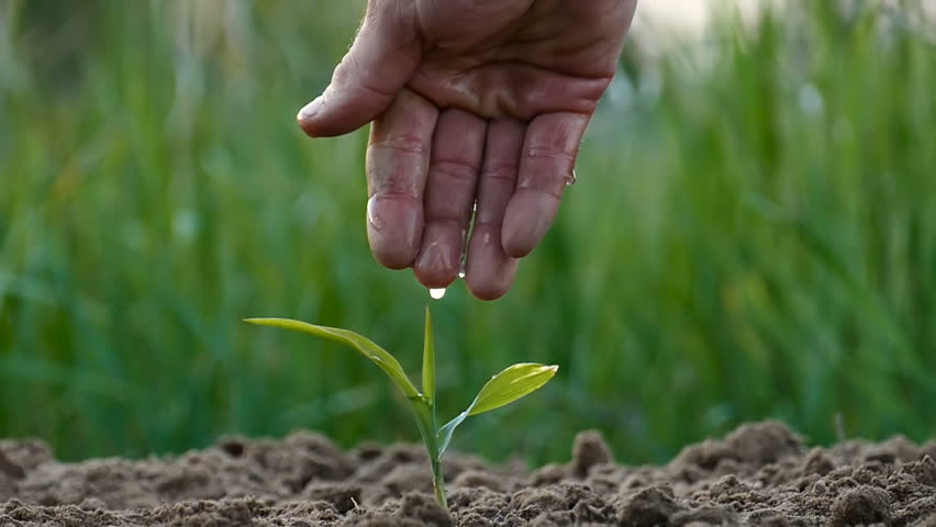 Slow motion. Farmers male hand with drops of water on the fingers.