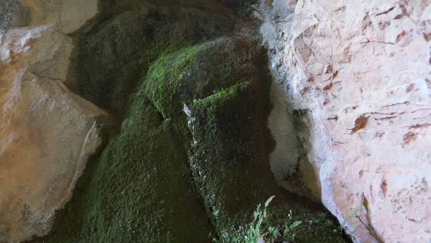 Fig Grotto, Bqerqasha. Tilt-up shot of moss growing on a rock in Fig Grotto. The cave is located in the town of Bqerqasha in the valley of Qadisha.