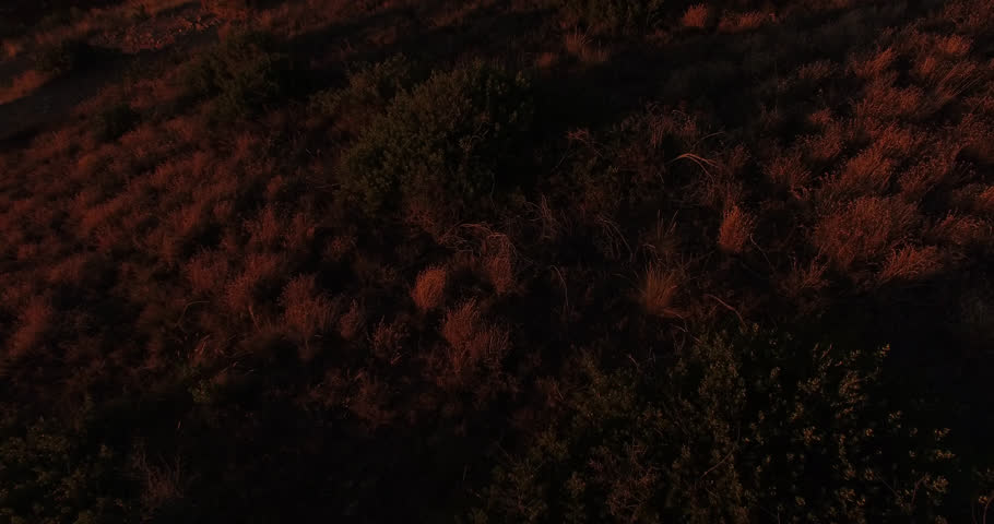 Aerial view of the sunset at Signal Hill