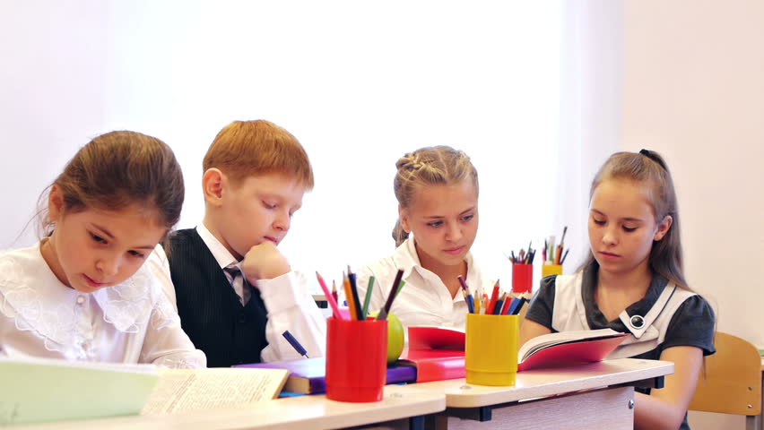 Attractive young pupils studying in the classroom