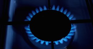 Gas Stove Burners, Blue Flame, Real Time 4K