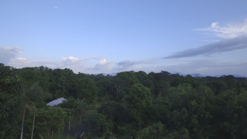 Panoramic scenic view of the amazon forest	- Brazil
