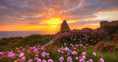 Sunset over standing stone with flowers in the foreground, 4K time lapse clip, High Dynamic Range Imaging
