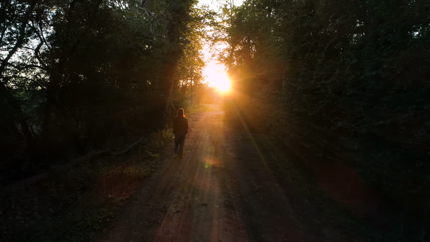 young female walking forest towards sunset Stock Footage Video (100% ...