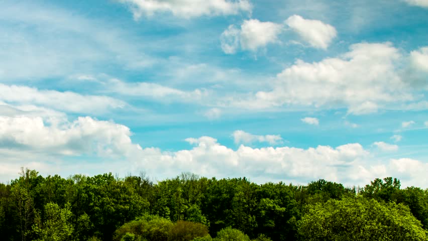Cloudscape time lapse over wetlands at Buckhorn Island State Park, Grand Island, NY, USA.