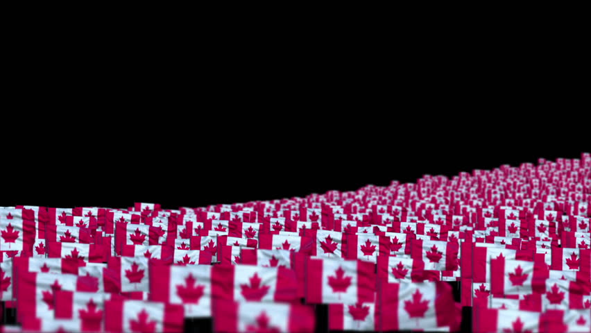 Canada Flags and Camera Fly Over, DOF