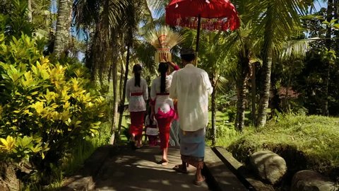 Bali procession between palm trees