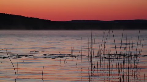 Seamless HD loop features Michigan's Platte Lake with ripples, reeds, and reflections from a beautiful sky just before sunrise.