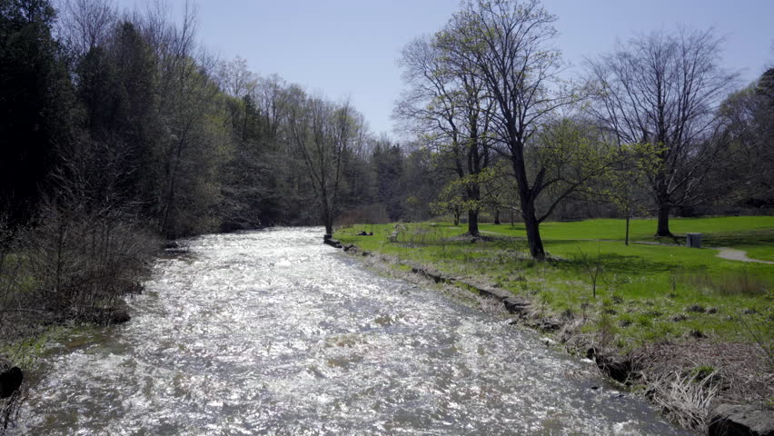 river flowing in the middle of the forest in ontario canada